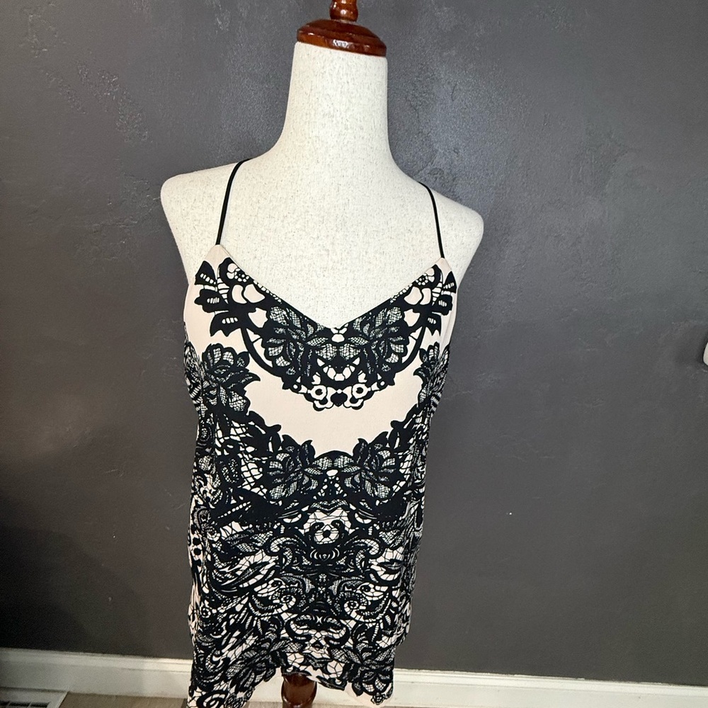 Express Black Lace Overlay Slip Dress with Blush Base
